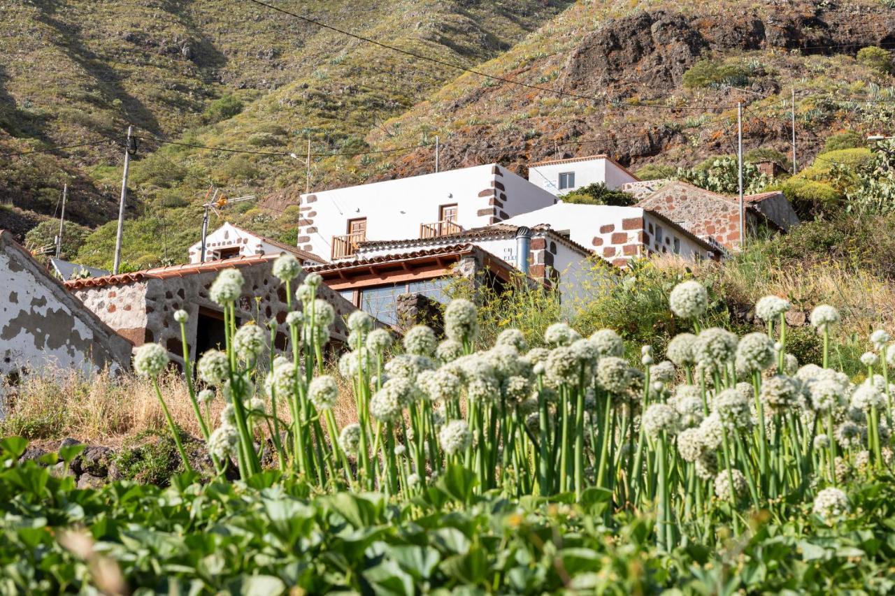 Home2Book Nature Carrizales And Masca House & Wifi Buenavista Del Norte Exterior photo